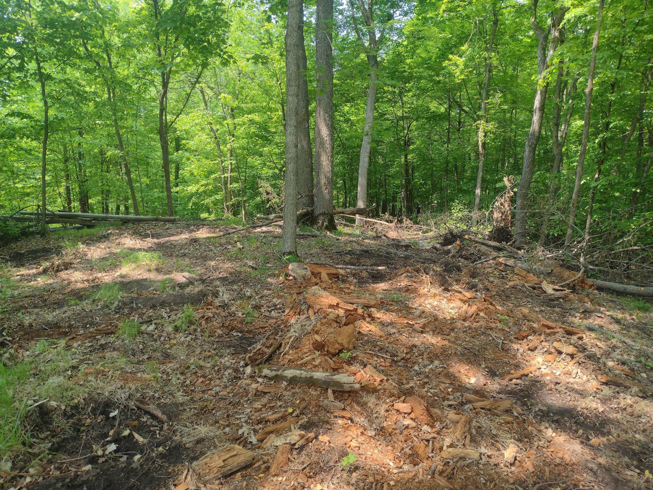 Lot 8 Block 2 Crystal Beach Road