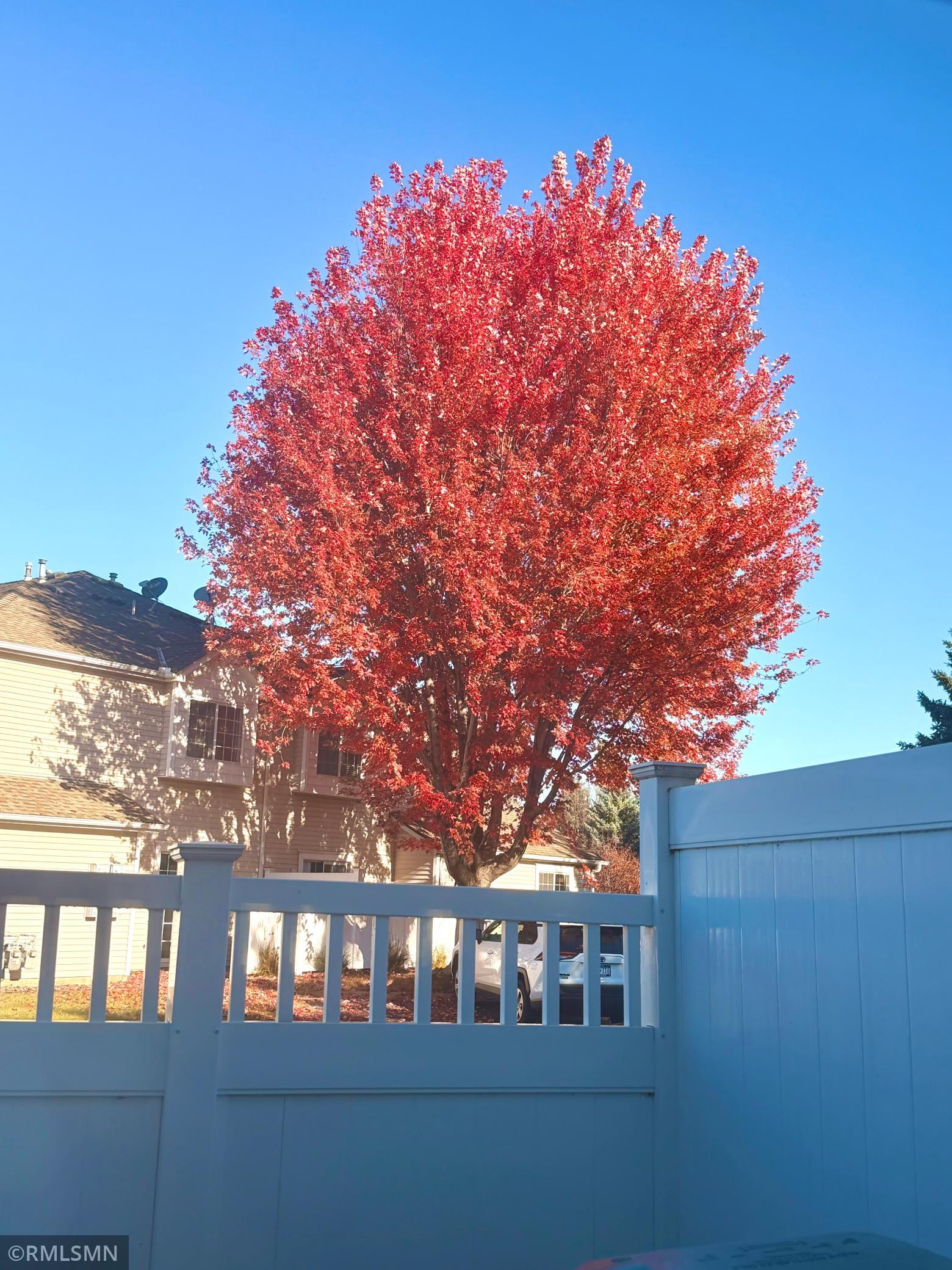 11568 Elmwood Avenue N