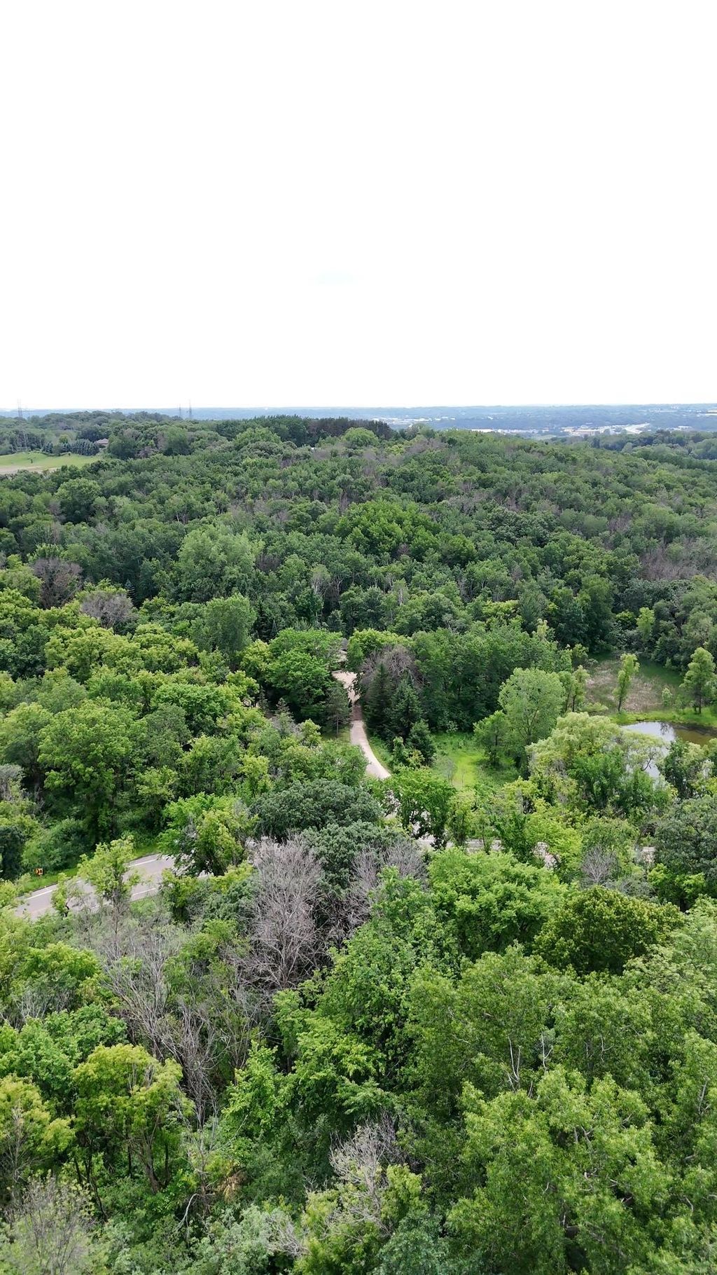 Photo of 2685 Carver Avenue E, Maplewood, MN 55119 (MLS # 7105069)