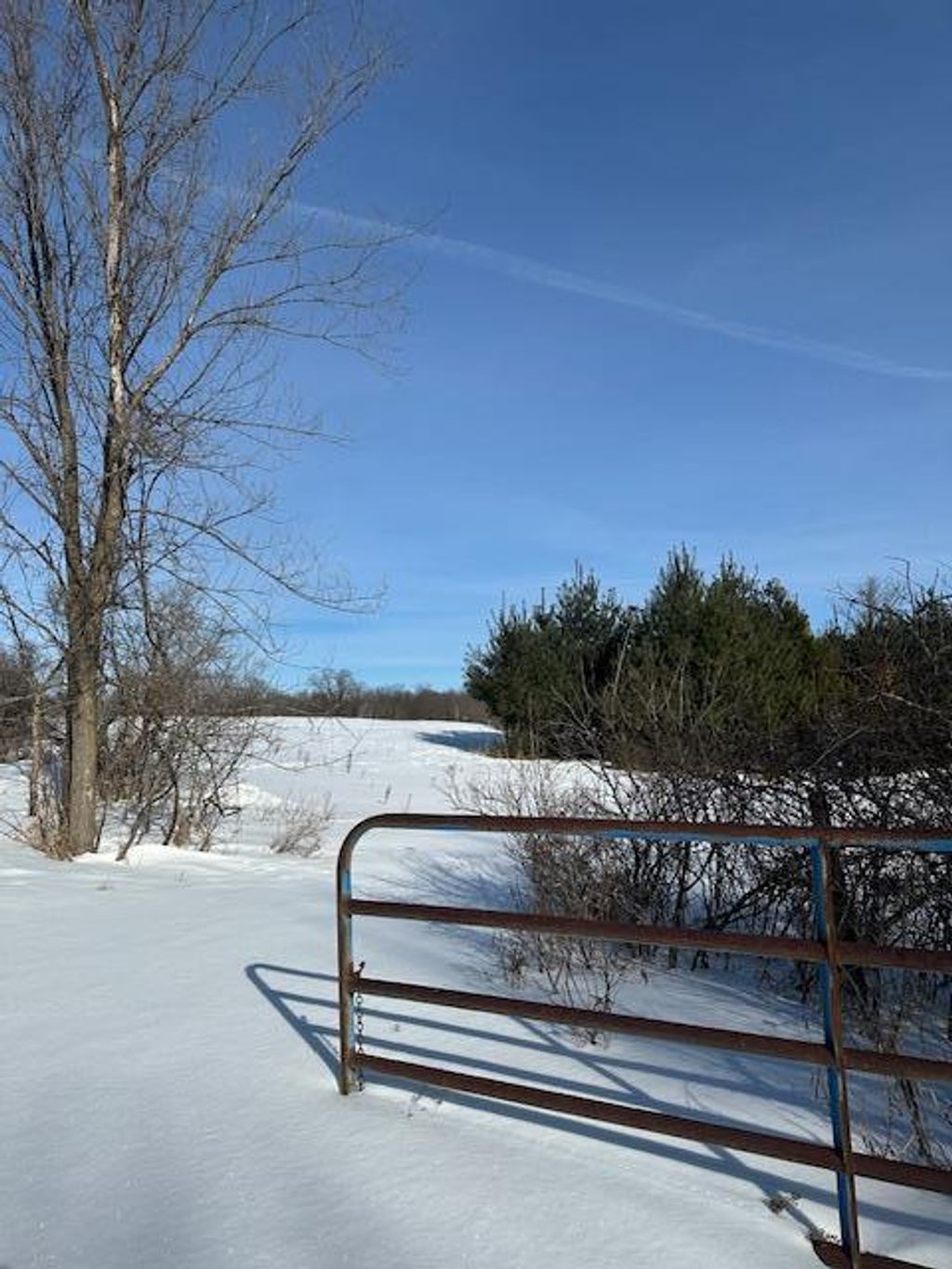 Photo of 2665 230th Avenue, Saint Croix Falls, WI 54024 (MLS # 7017317)