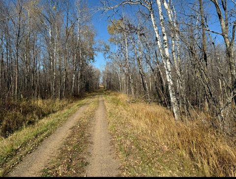 XXX Dam Lake Street Lee Twp MN 56431