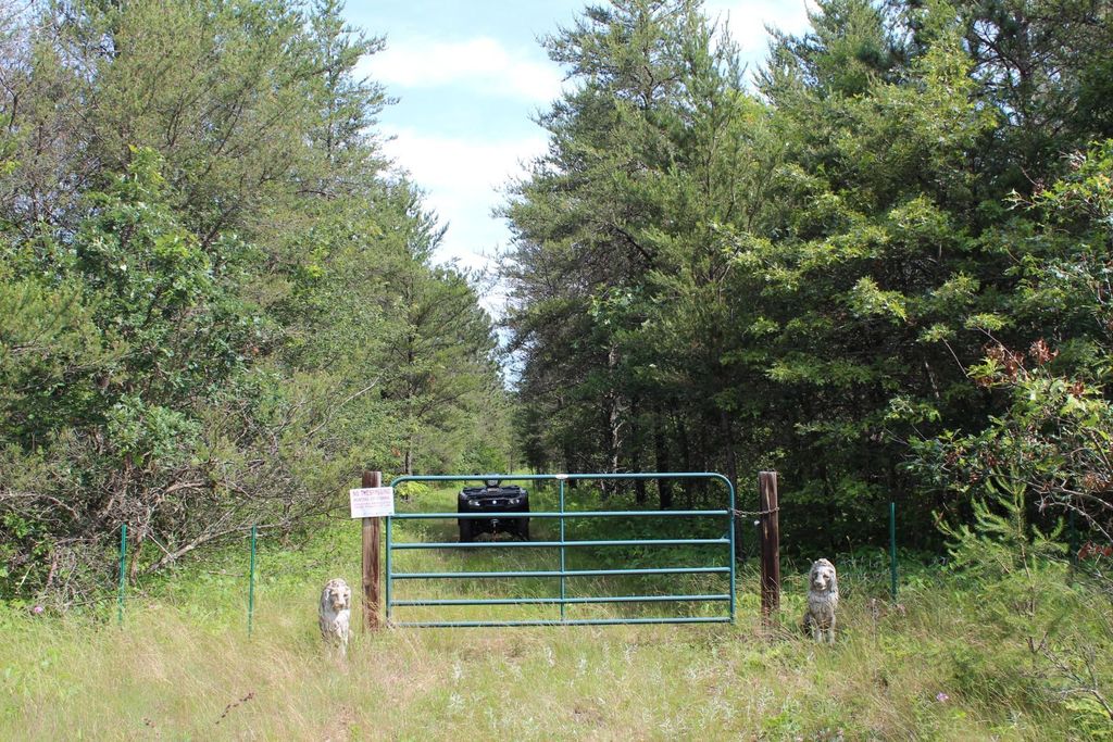 Photo of XXX Anderson Road, Grantsburg, WI 54840 (MLS # 7003587)