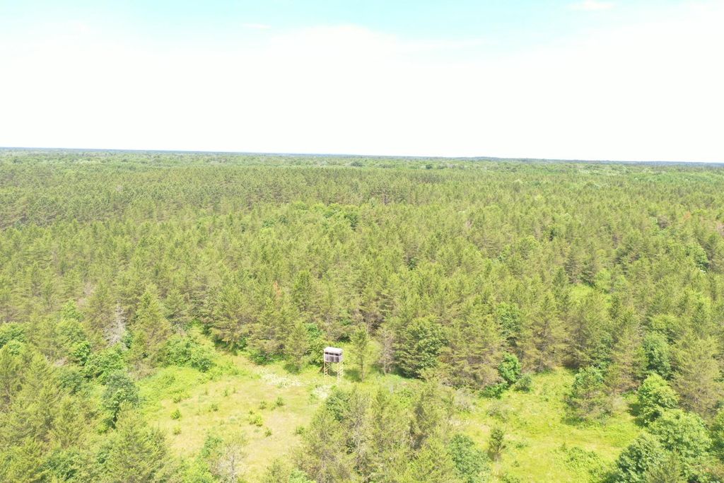 Photo of XXX Anderson Road, Grantsburg, WI 54840 (MLS # 7003587)