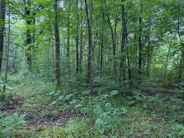 Photo of 19348 170th Street, McGrath, MN 56350 (MLS # 7128199)