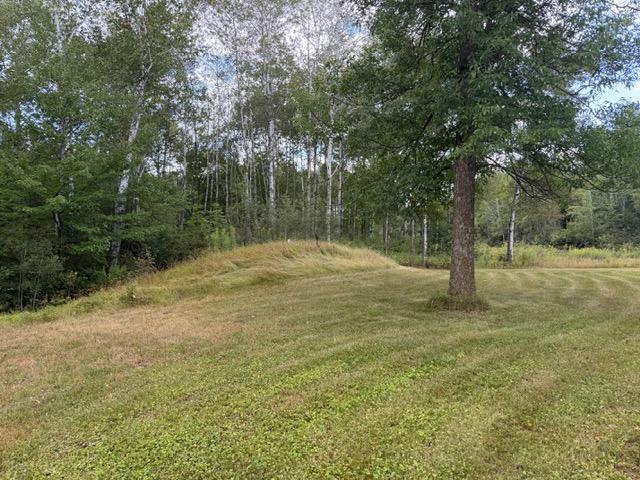 Photo of 19348 170th Street, McGrath, MN 56350 (MLS # 7128199)