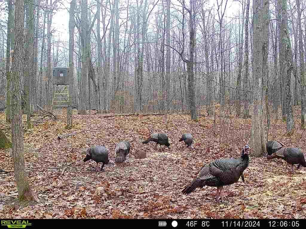 Photo of 40384 Rutabaga Road, Askov, MN 55704 (MLS # 7022007)