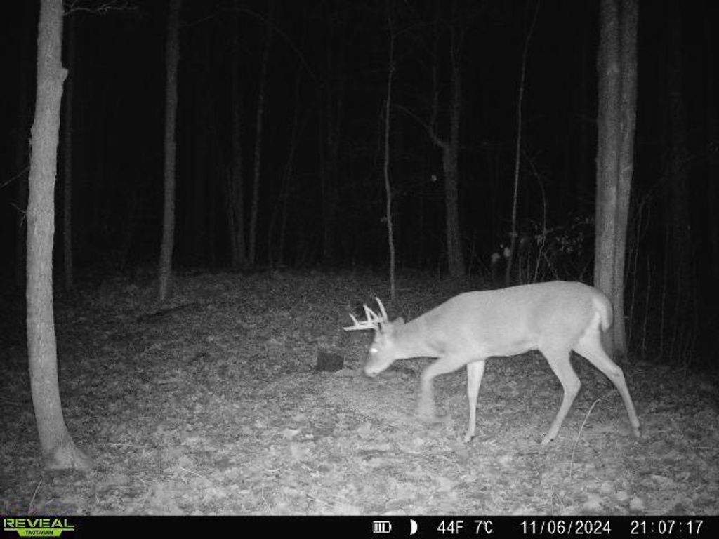 Photo of 40384 Rutabaga Road, Askov, MN 55704 (MLS # 7022007)