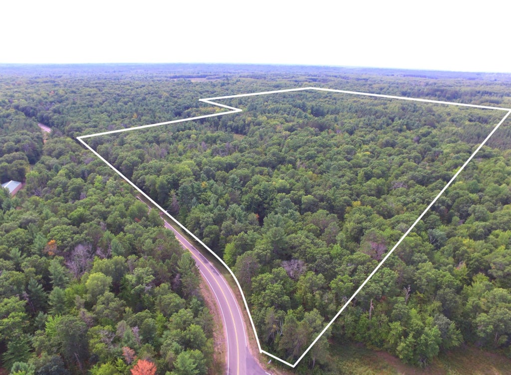 Photo of 28206 Pardun Road, Danbury, WI 54830 (MLS # 7140552)