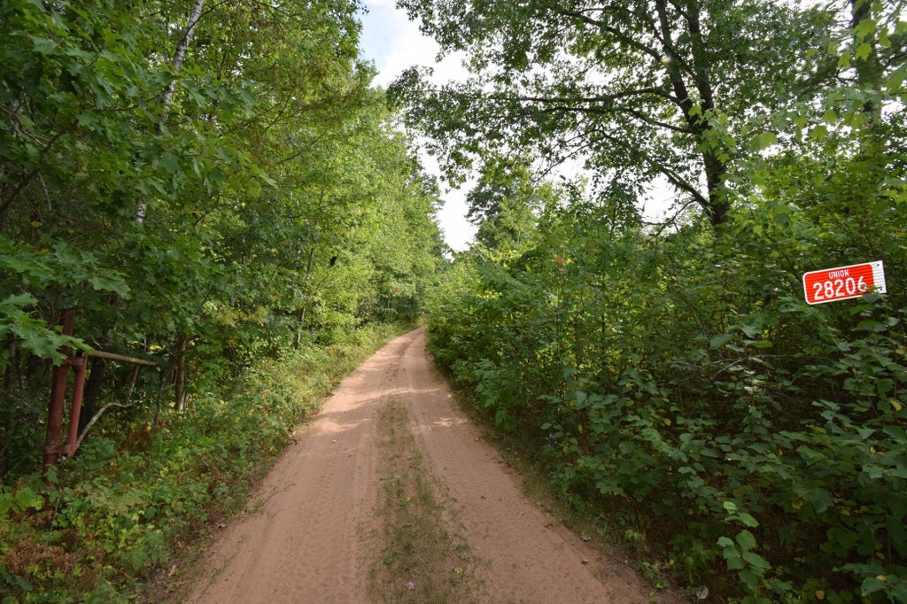 Photo of 28206 Pardun Road, Danbury, WI 54830 (MLS # 7140552)