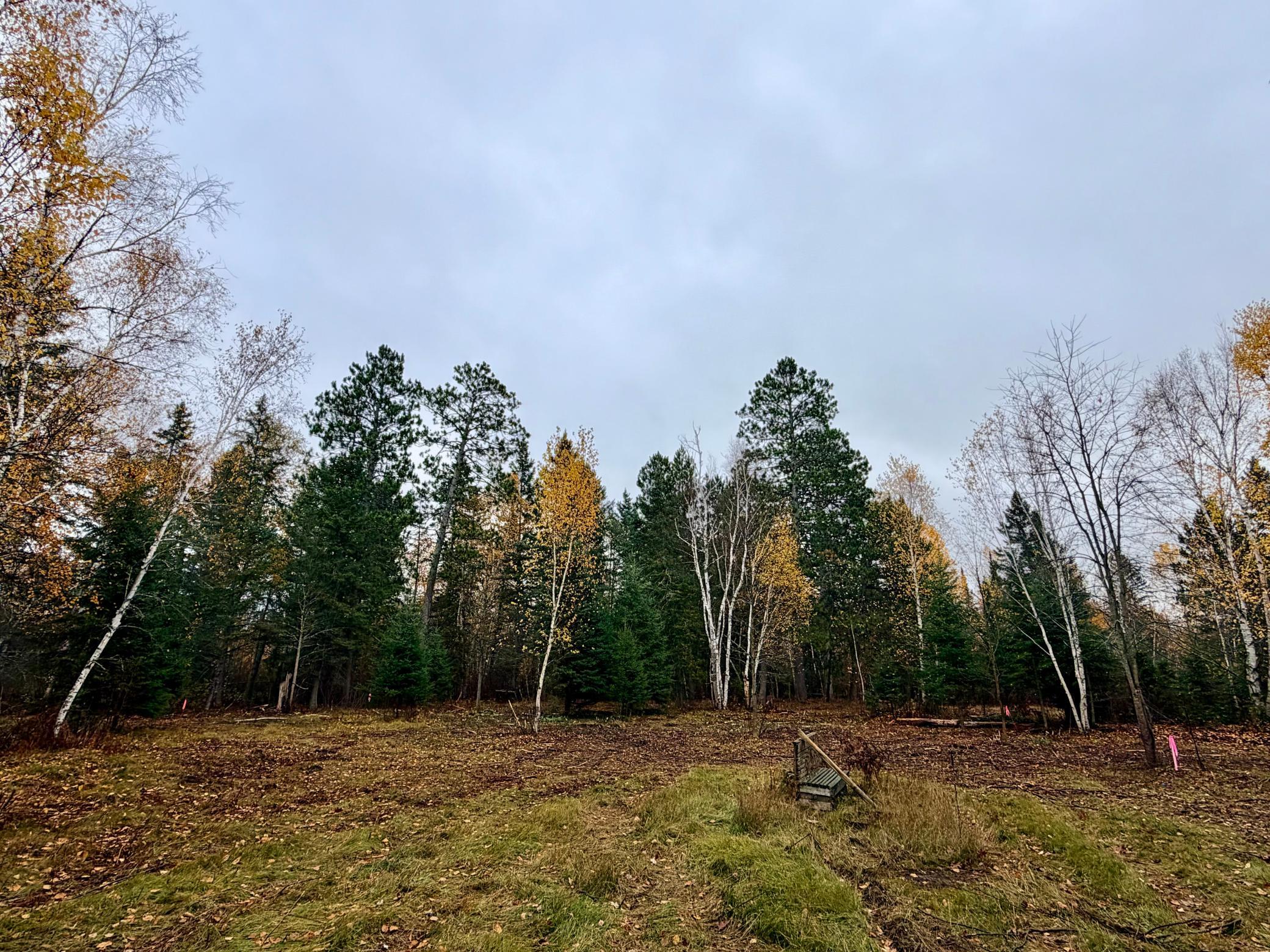 TBD New Melahn Drive
