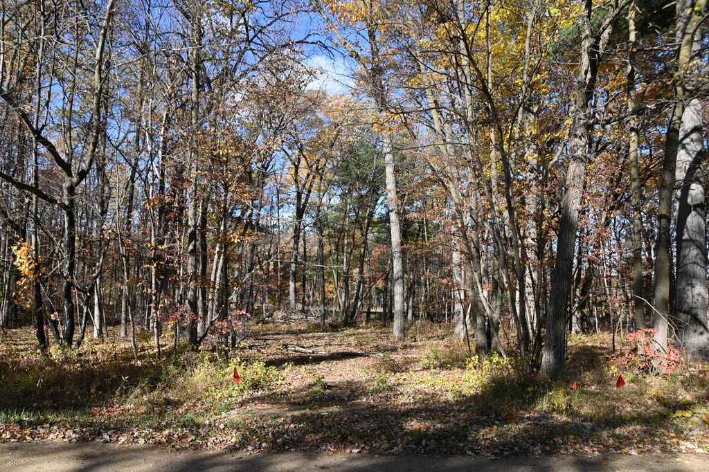 Photo of 40889 Penelope Loop, Browerville, MN 56438 (MLS # 7034473)