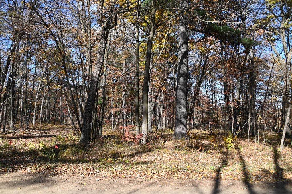 Photo of 40889 Penelope Loop, Browerville, MN 56438 (MLS # 7034473)