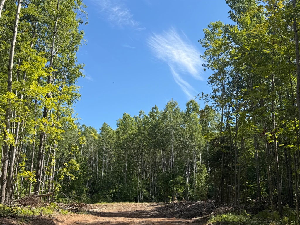 Photo of Parcel 4 County Road A, Solon Springs, WI 54873 (MLS # 7137356)