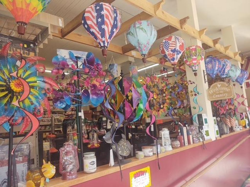 Photo of 407 Main Street, Plum City, WI 54761 (MLS # 6819591)