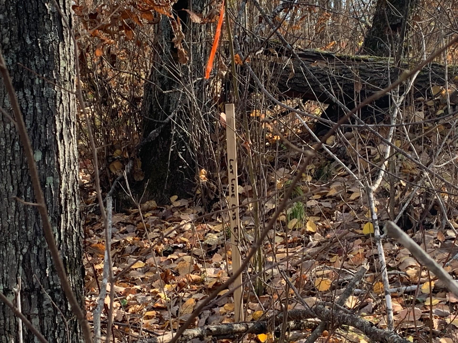 Lot 7 County Road 136
