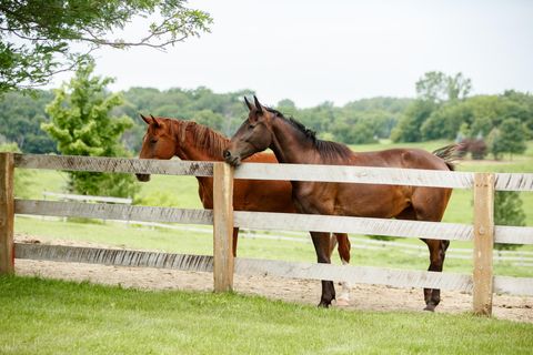 9685 County Road 13 SE Franklin Twp MN 55328