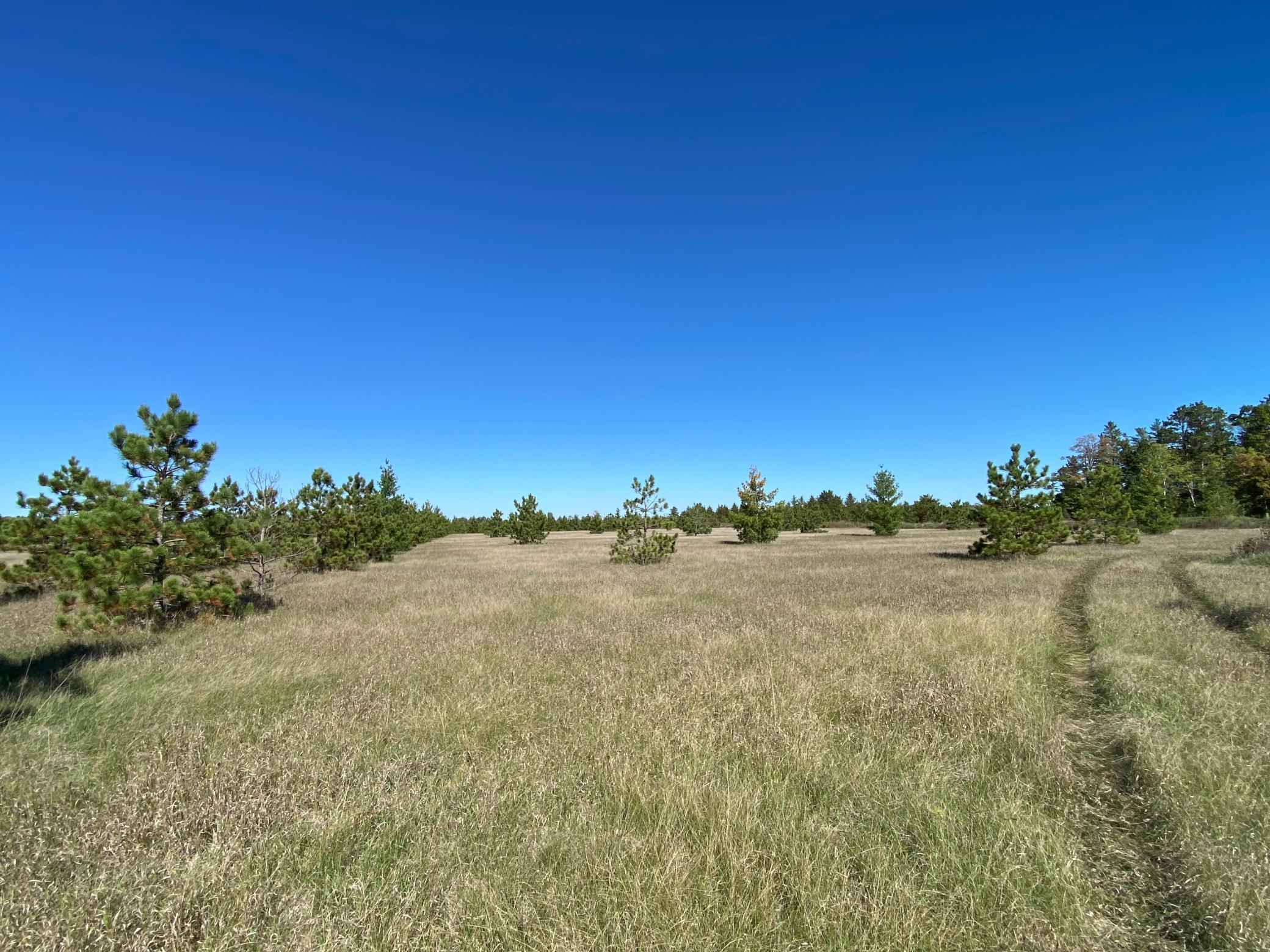 TBD Crooked River Dr - Tract D