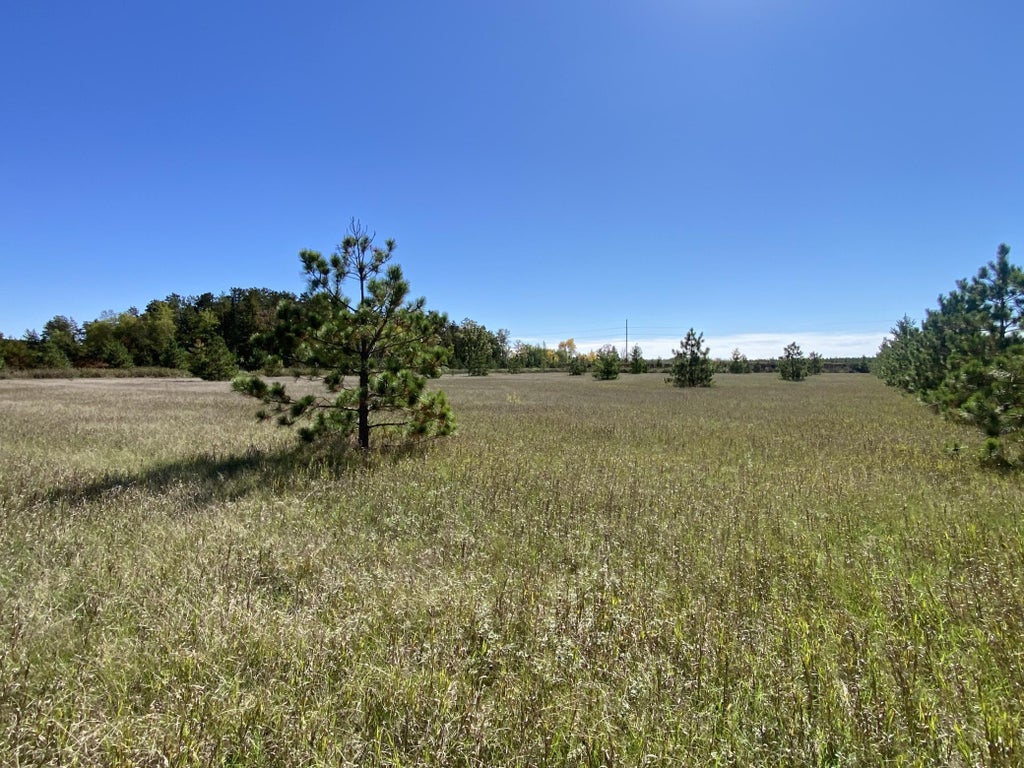 Photo of TBD Crooked River Dr - Tract D, Park Rapids, MN 56470 (MLS # 7153258)