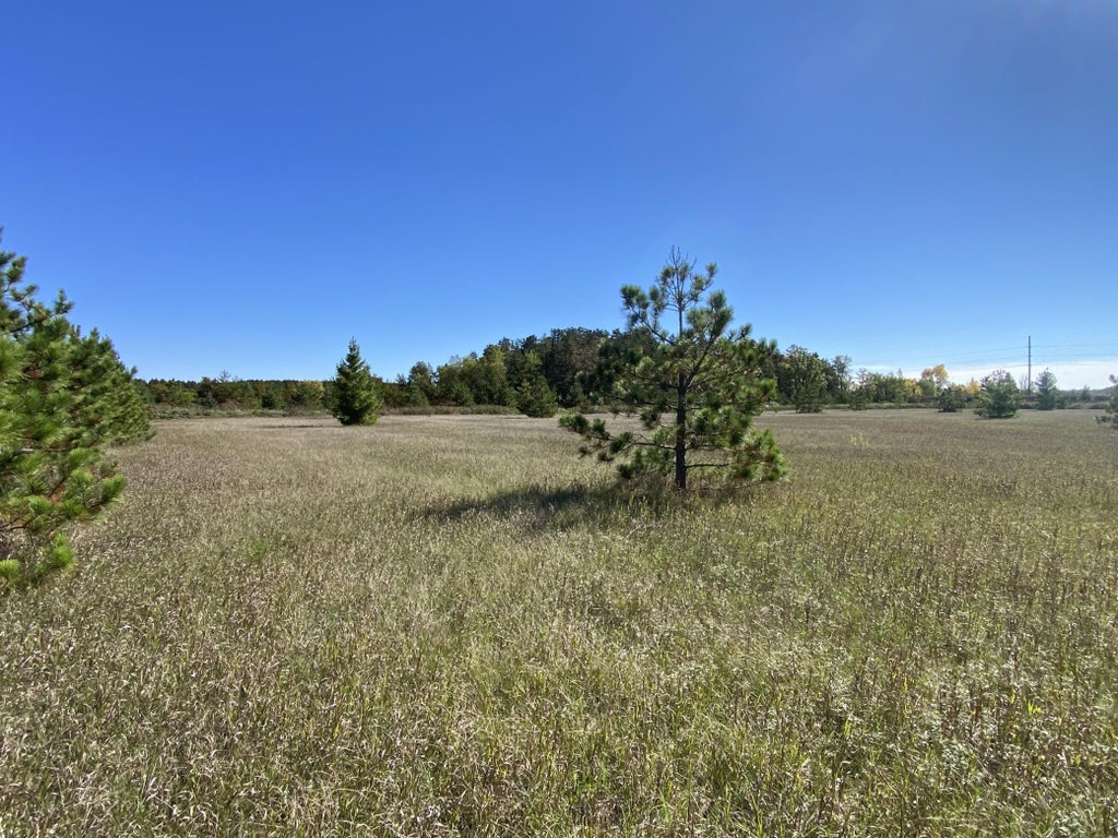 Photo of TBD Crooked River Dr - Tract D, Park Rapids, MN 56470 (MLS # 7153258)