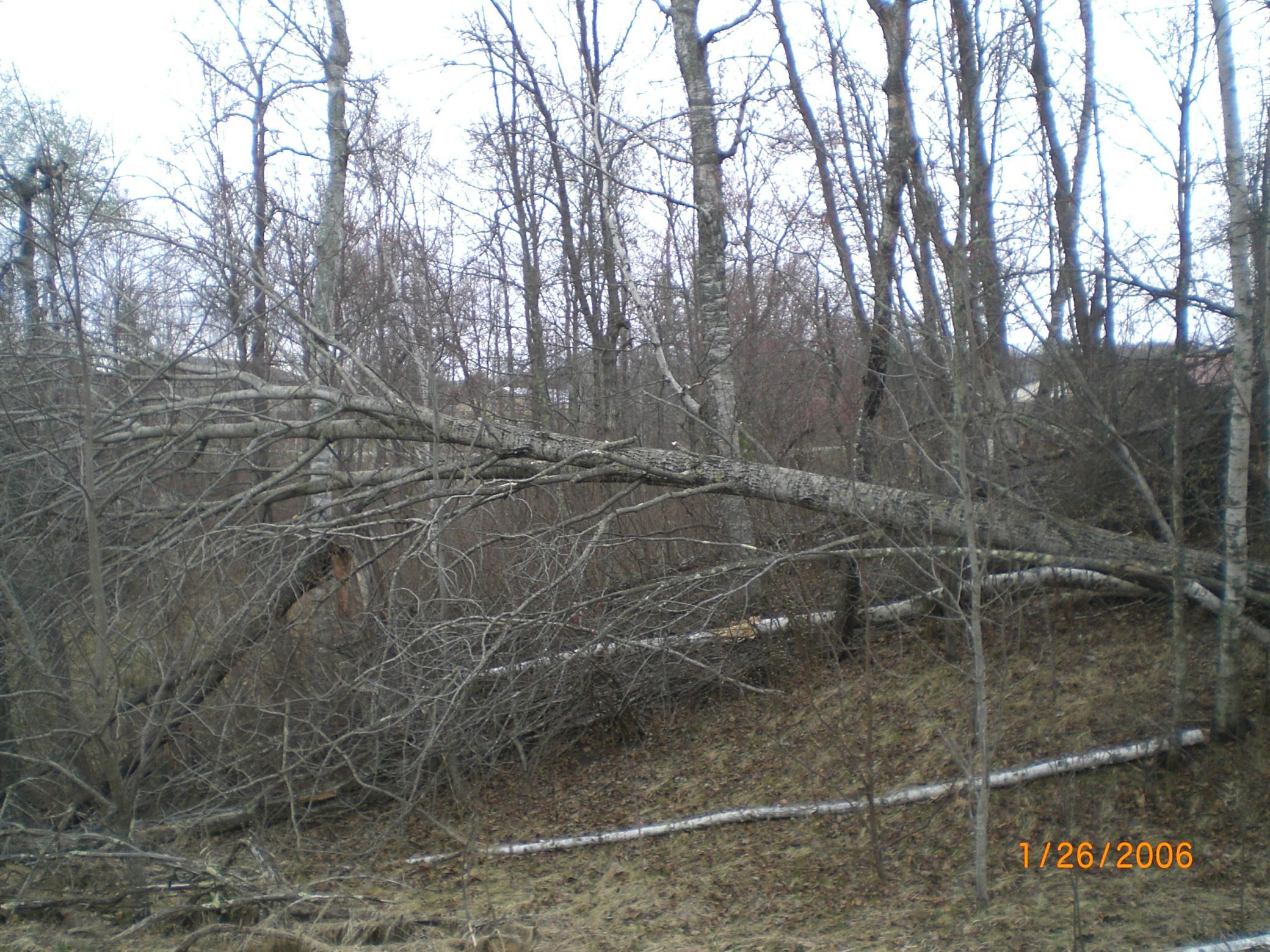Lot 18 Terminal Road