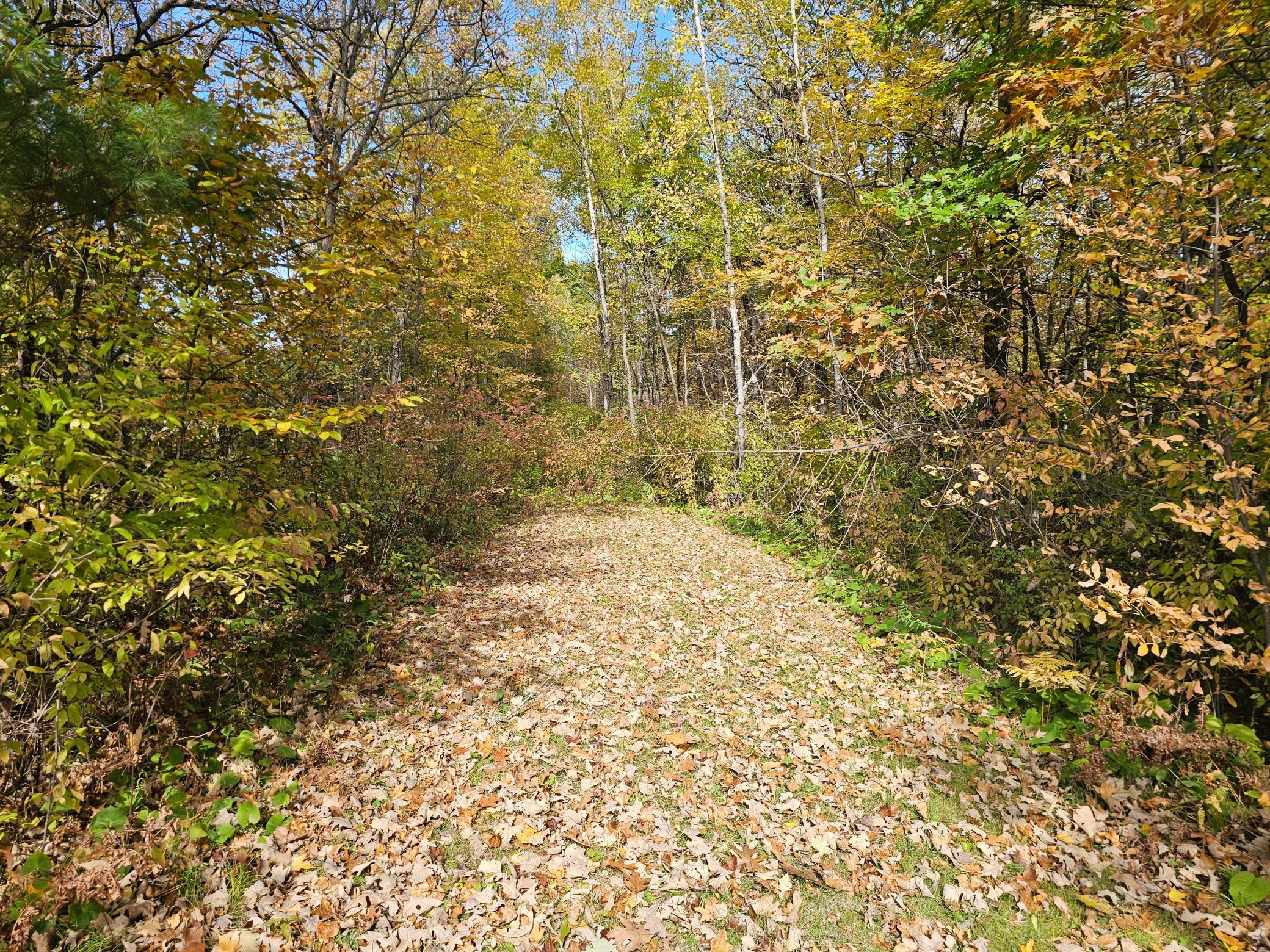 TBD Lot 2 Bunny Lane