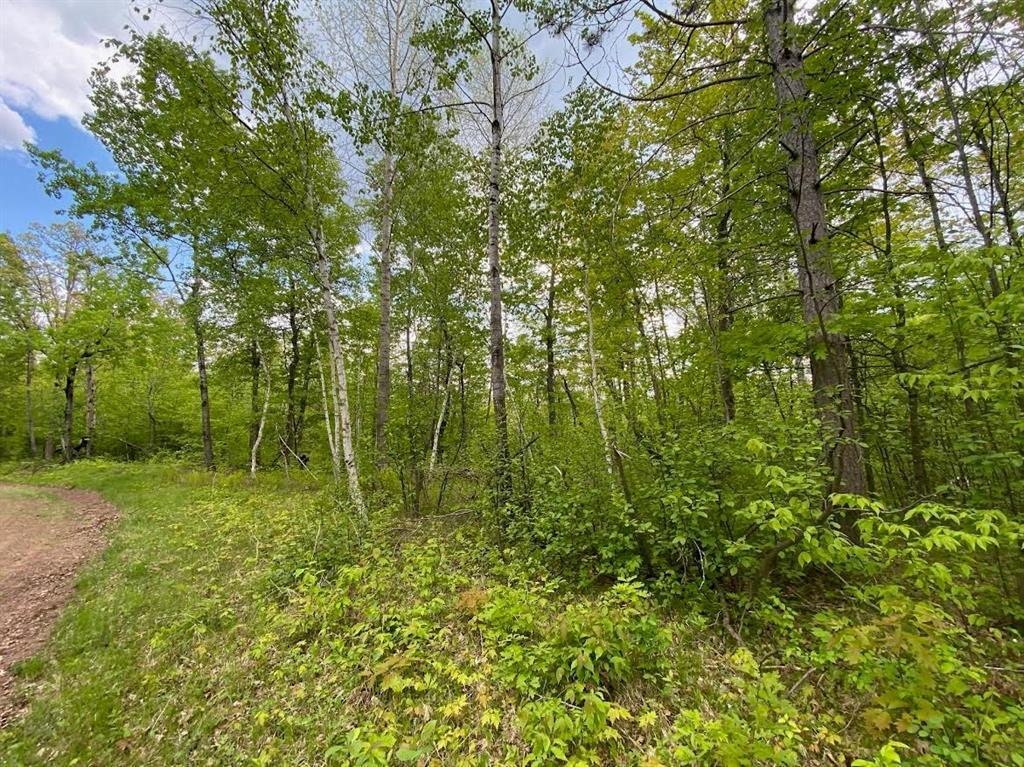 Photo of 000 Hustvet, Minong, WI 54888 (MLS # 7087028)