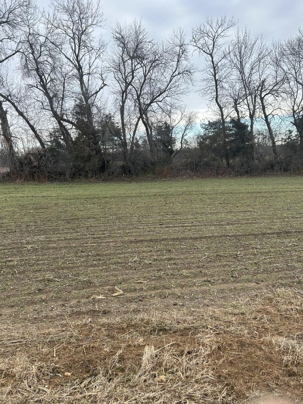 Photo of Lot 1 Orlando Avenue, Hastings, MN 55033 (MLS # 7054098)