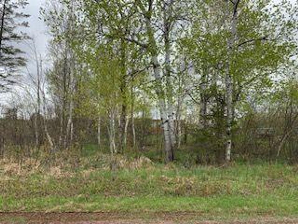 Photo of 3730 S Maple Drive, Barnum, MN 55707 (MLS # 7046374)