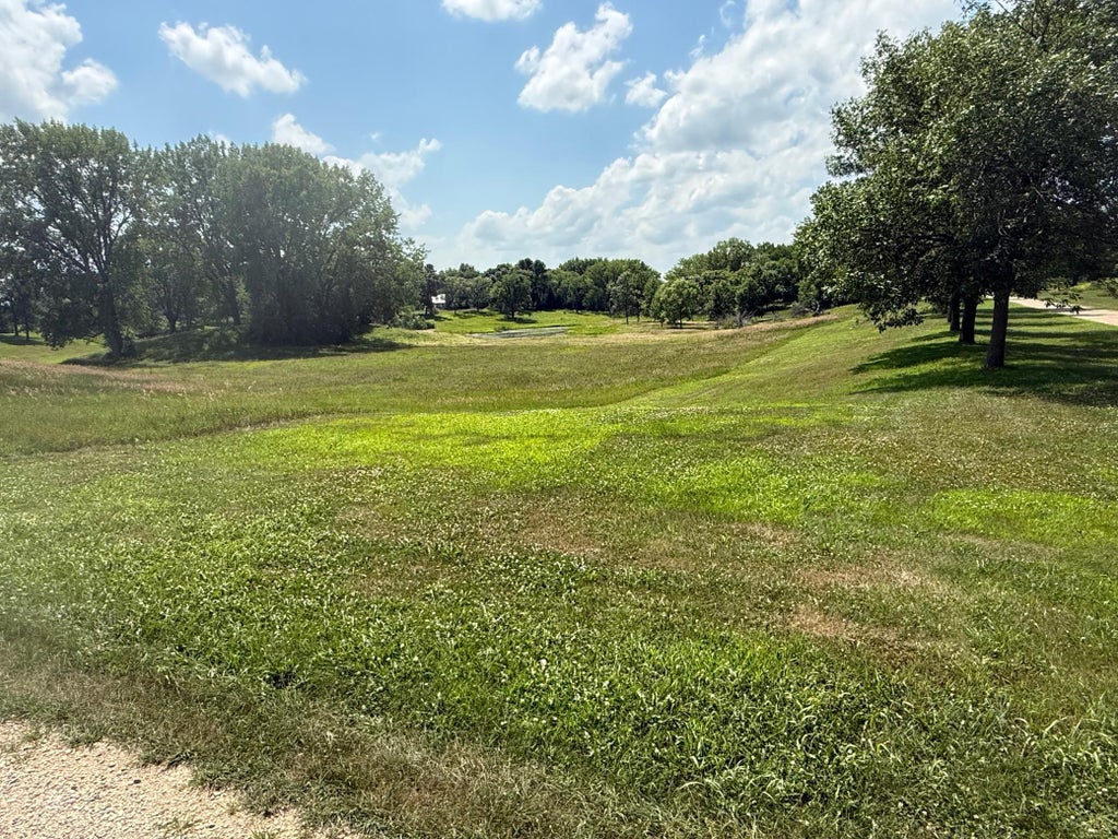 Photo of 1845 287th Avenue, Dawson, MN 56232 (MLS # 7110466)