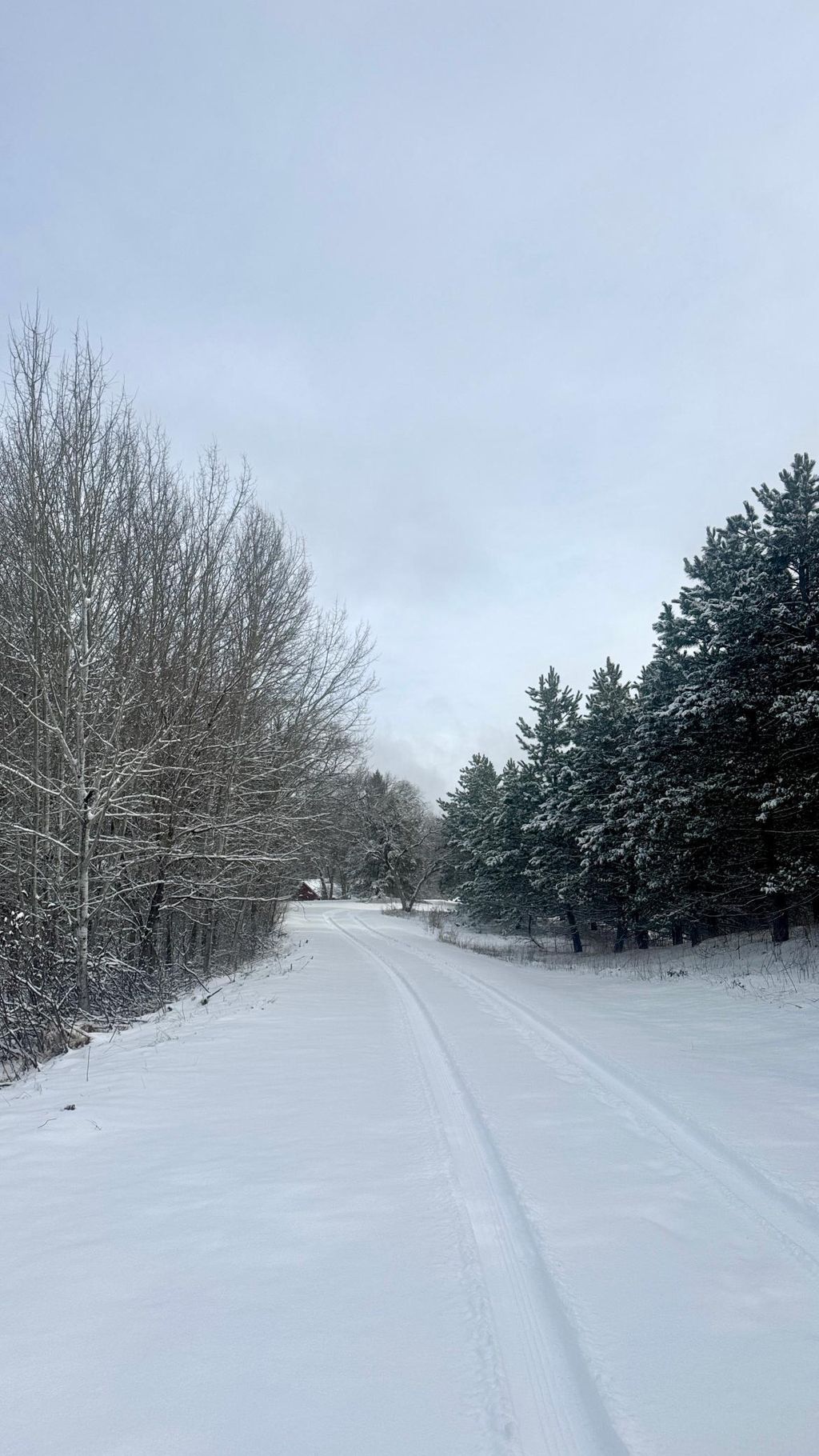 Photo of 29284 Mchugh Road, Detroit Lakes, MN 56501 (MLS # 7049764)