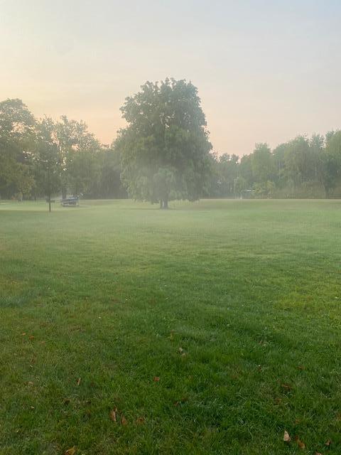 31281 Brightwood Shore Drive