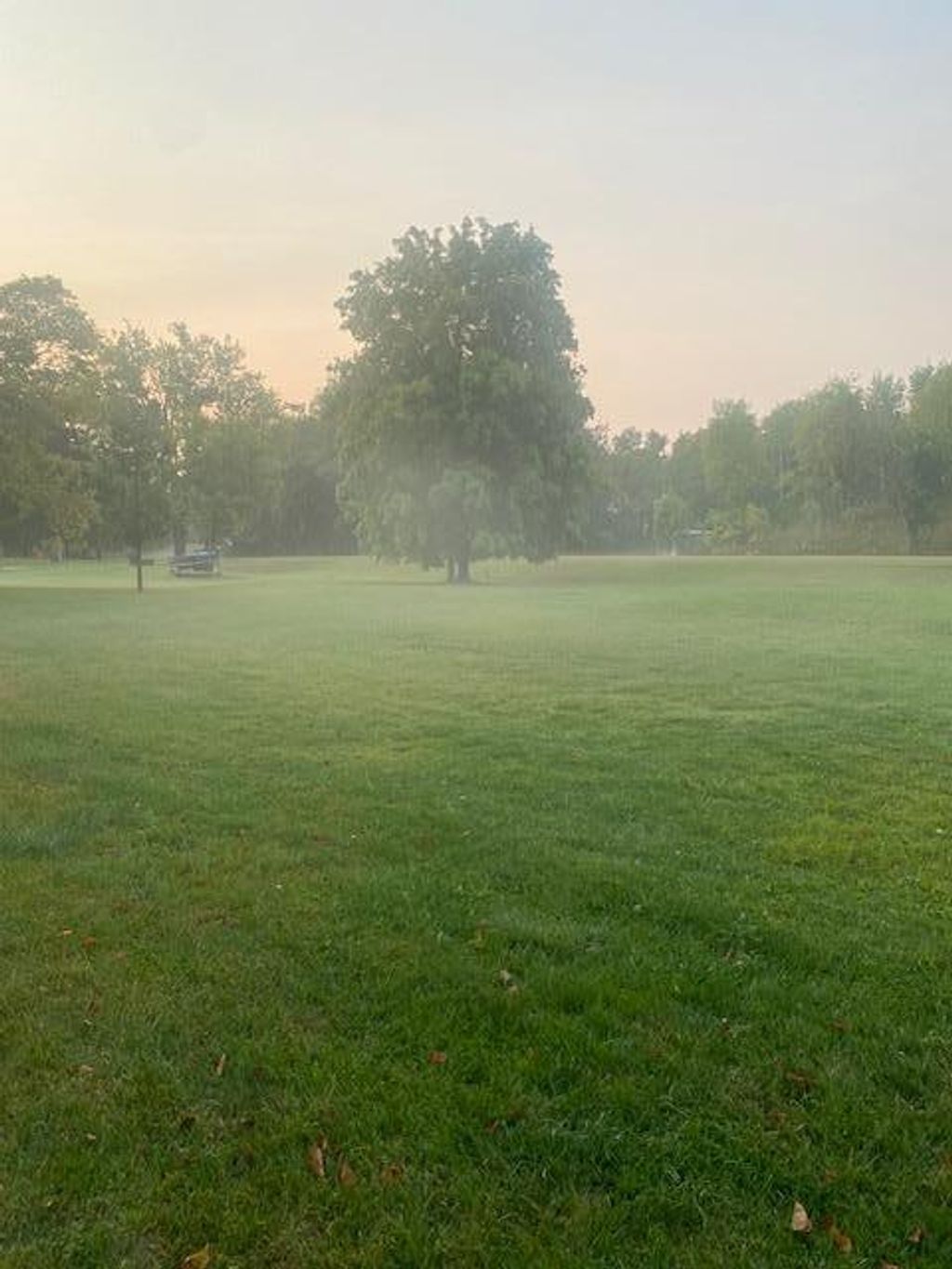 Photo of 31281 Brightwood Shore Drive, Dent, MN 56528 (MLS # 7042092)