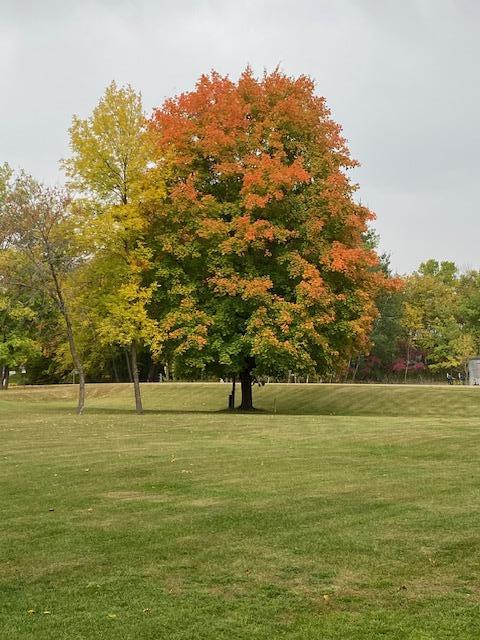 31281 Brightwood Shore Drive