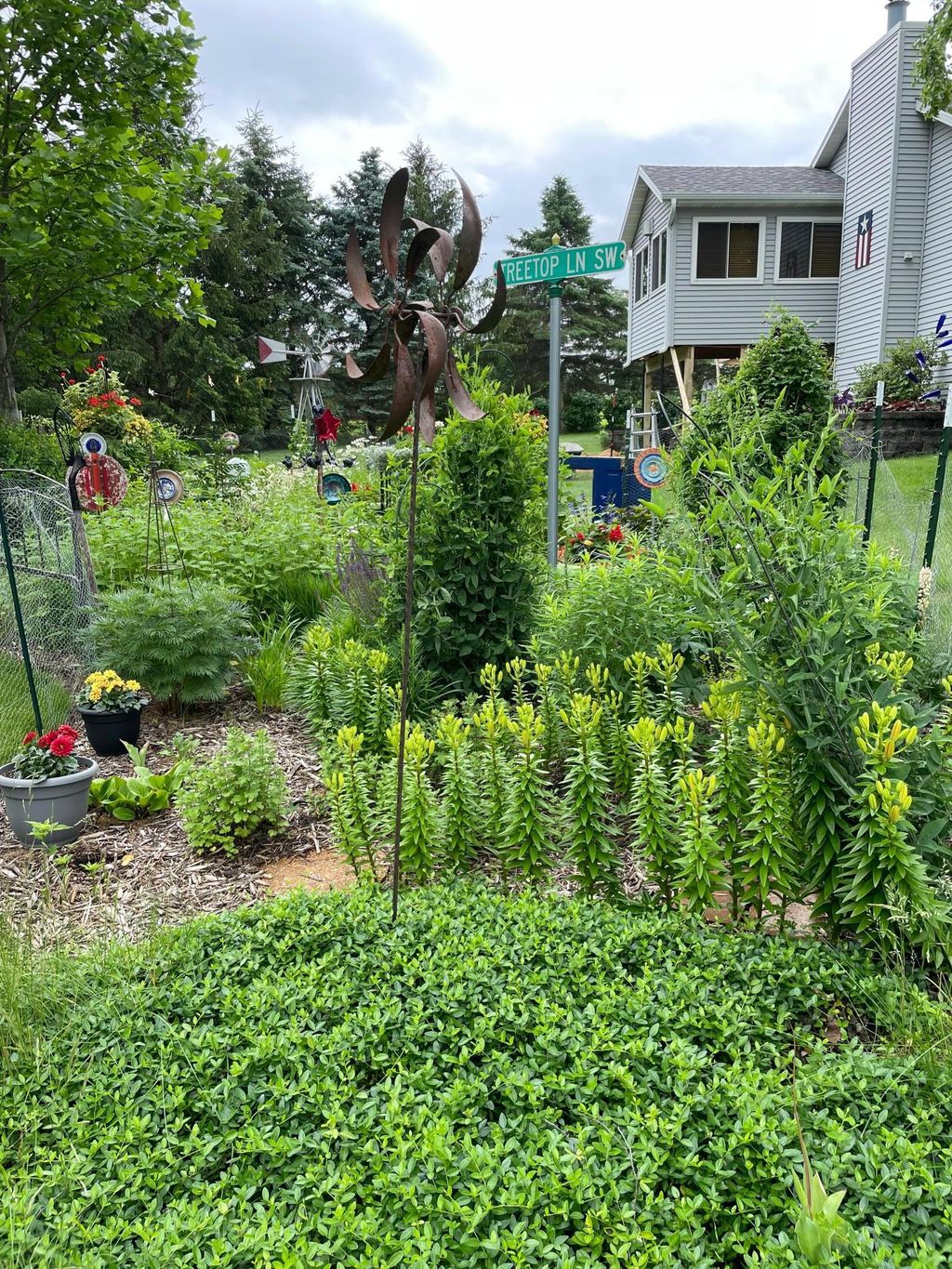 Photo of 745 Treetop Lane SW, Oronoco, MN 55960 (MLS # 7054519)