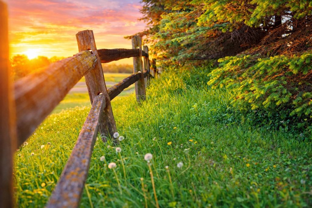 Photo of 10550 New Prague Boulevard, New Prague, MN 56071 (MLS # 7049236)