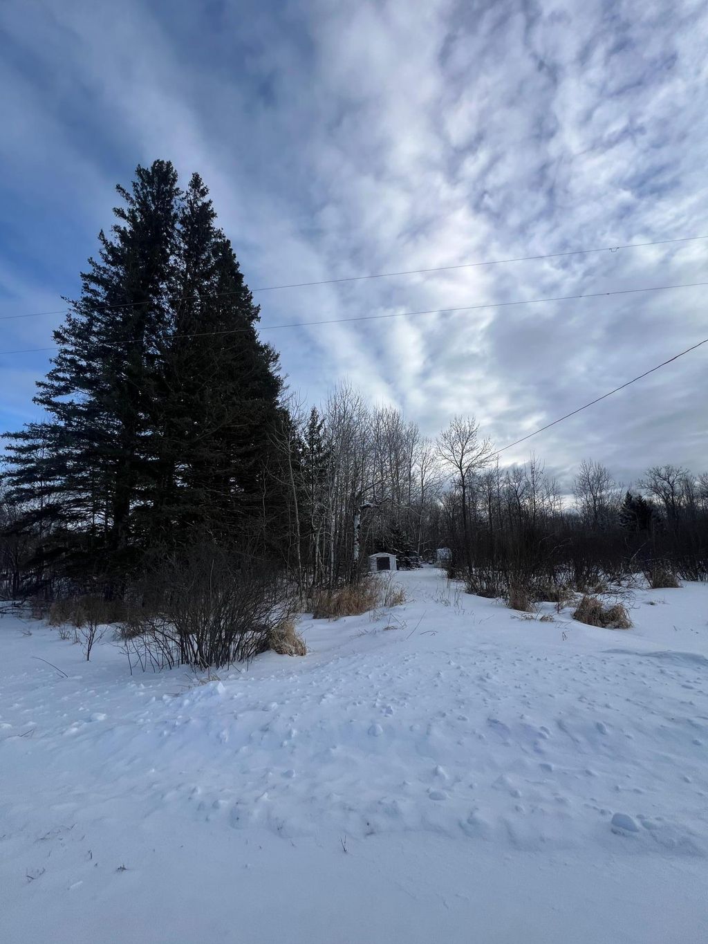 Photo of xxx Woods Road, Isle, MN 56342 (MLS # 7003496)