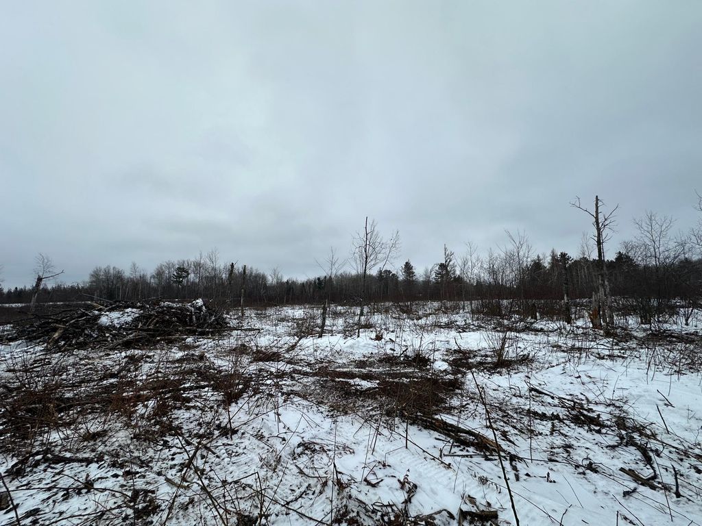Photo of TBD #2 Koecher Road, Kerrick Twp, MN 55756 (MLS # 7002696)