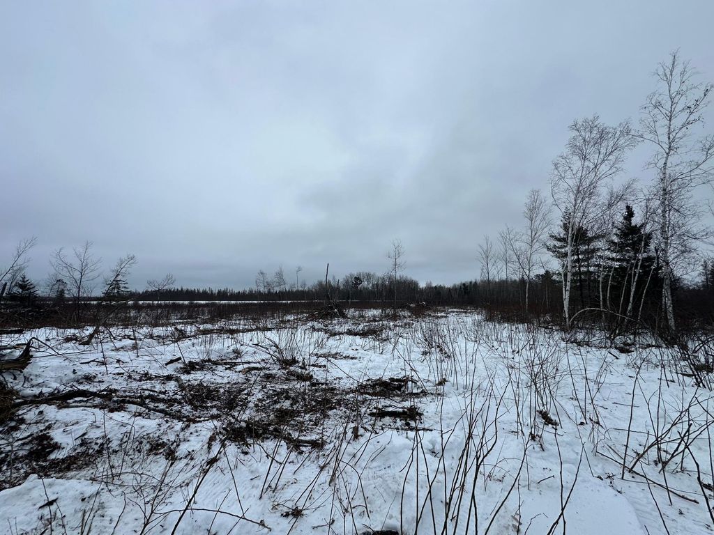 Photo of TBD #2 Koecher Road, Kerrick Twp, MN 55756 (MLS # 7002696)