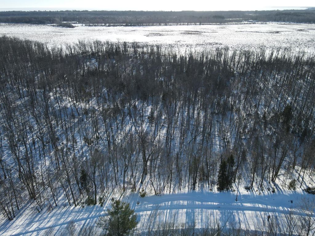 Photo of Lot 13 Beaver Drive, Garrison, MN 56401 (MLS # 7014416)