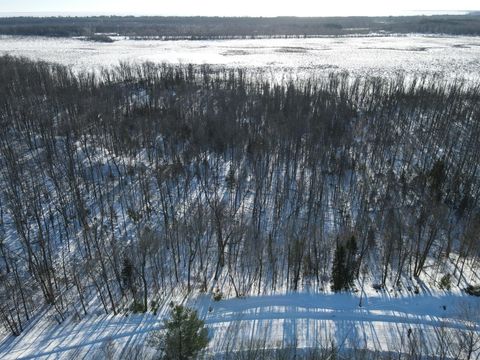 Lot 13 Beaver Drive Garrison MN 56401