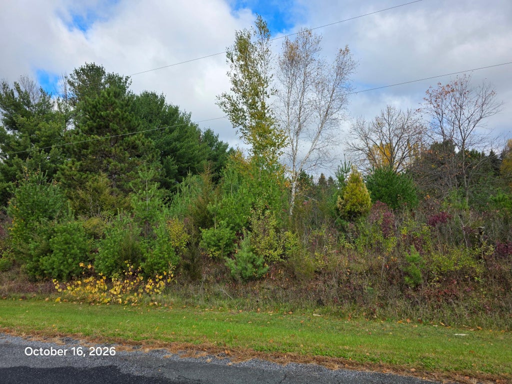 Photo of 12XX 200th Avenue, New Richmond, WI 54017 (MLS # 7161862)