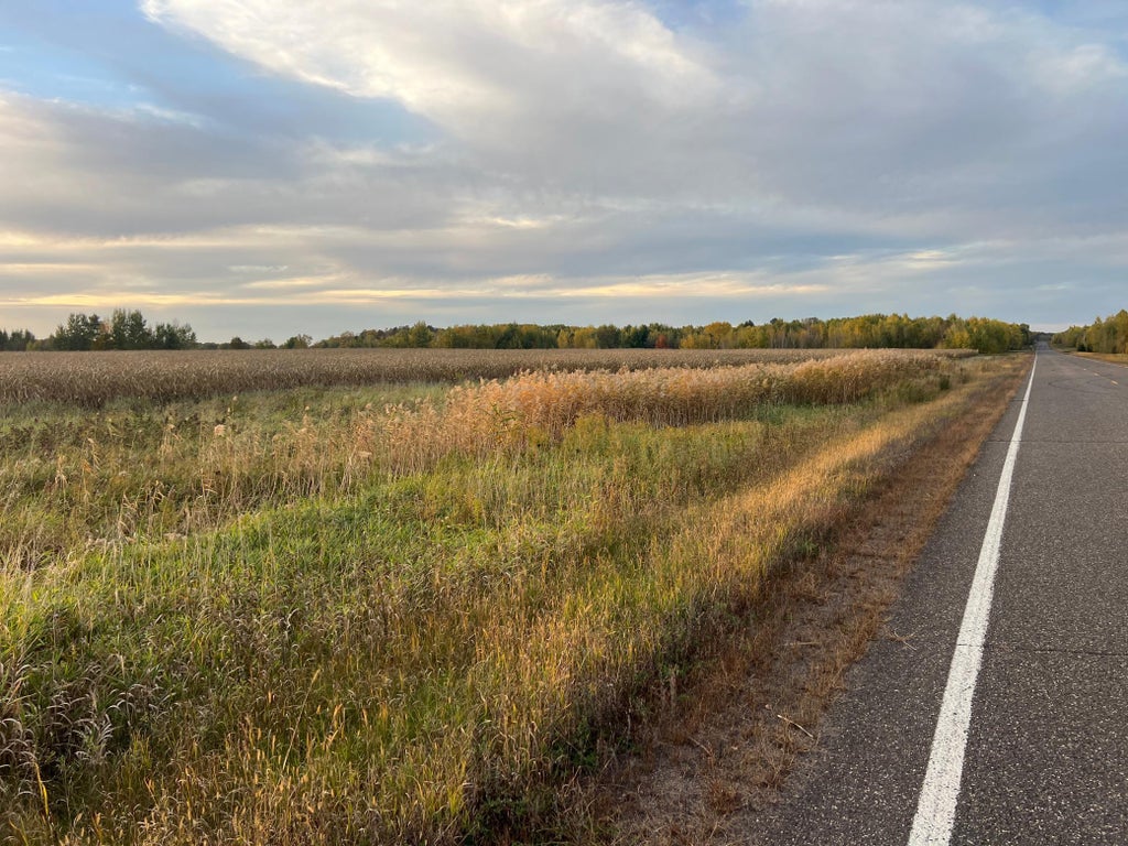 Photo of 0000 Holly Rd, Pine City, MN 55063 (MLS # 7156241)