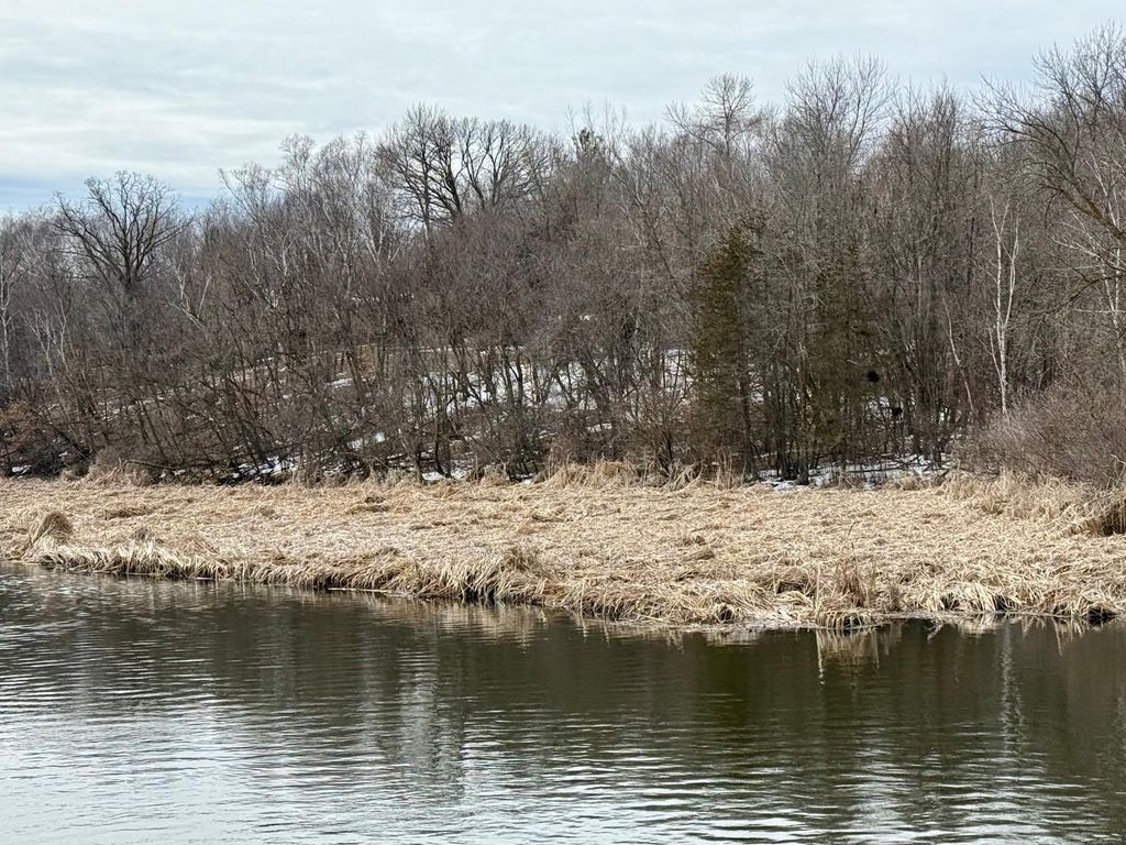 Photo of TBD Basswood Drive, Sauk Centre, MN 56378 (MLS # 7050949)