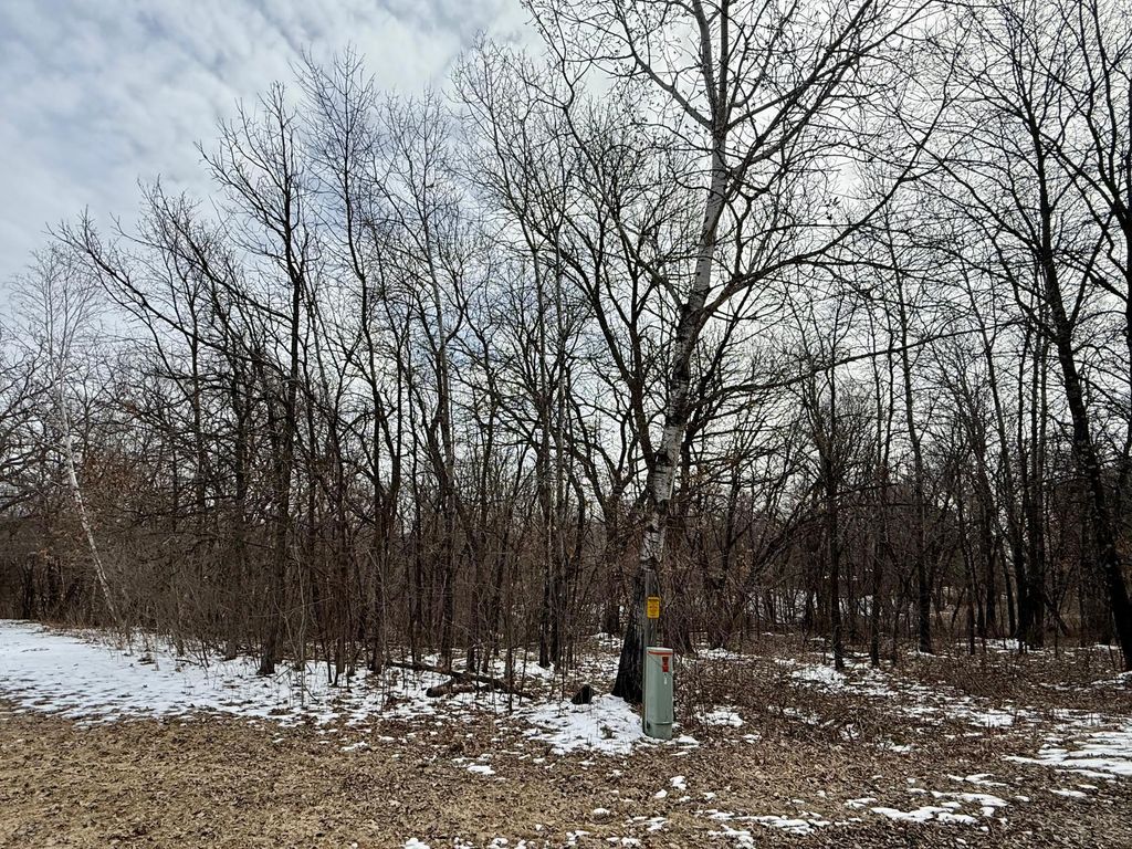 Photo of TBD Basswood Drive, Sauk Centre, MN 56378 (MLS # 7050949)