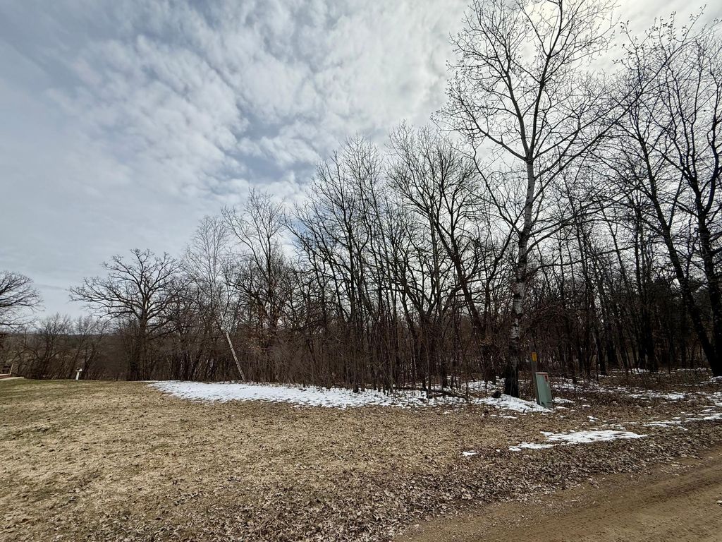 Photo of TBD Basswood Drive, Sauk Centre, MN 56378 (MLS # 7050949)