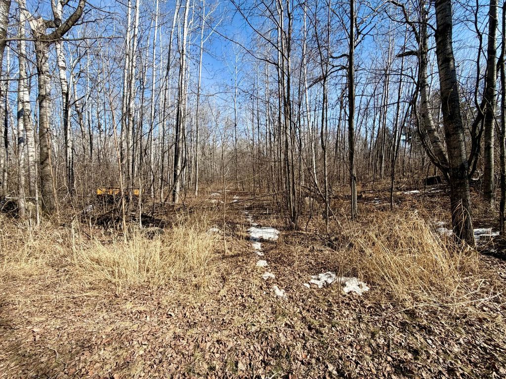 Photo of TBD First Avenue N, Kelly Lake, MN 55746 (MLS # 7044232)