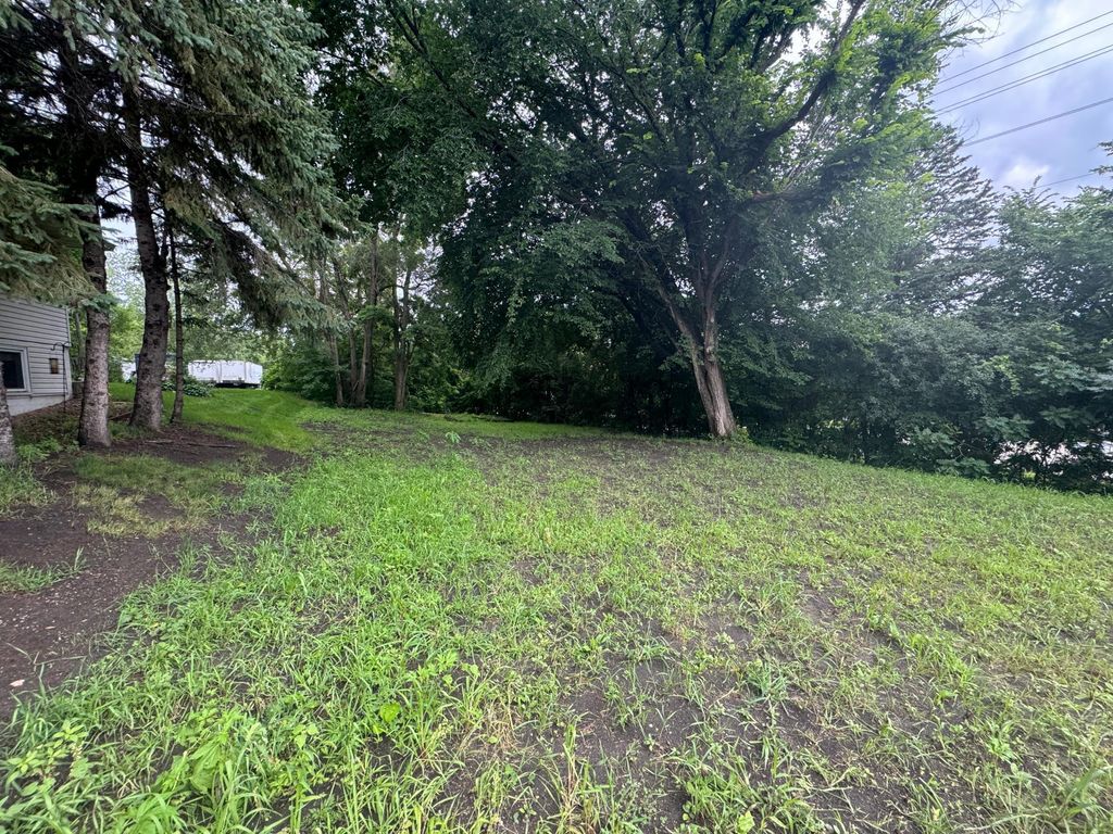 Photo of 409 S Orange Street, Waconia, MN 55387 (MLS # 7045930)