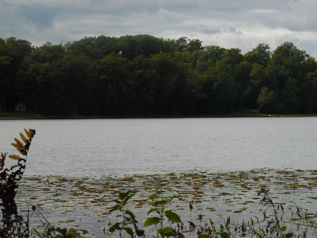 Photo of XXX 57th Street, Cumberland, WI 54829 (MLS # 7043573)