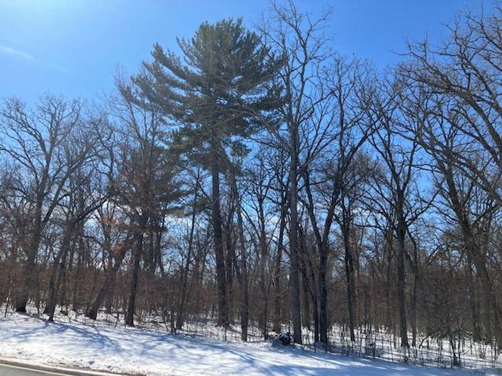 Photo of Lot 2 Sunrise Road, Sunrise, MN 55032 (MLS # 7036510)