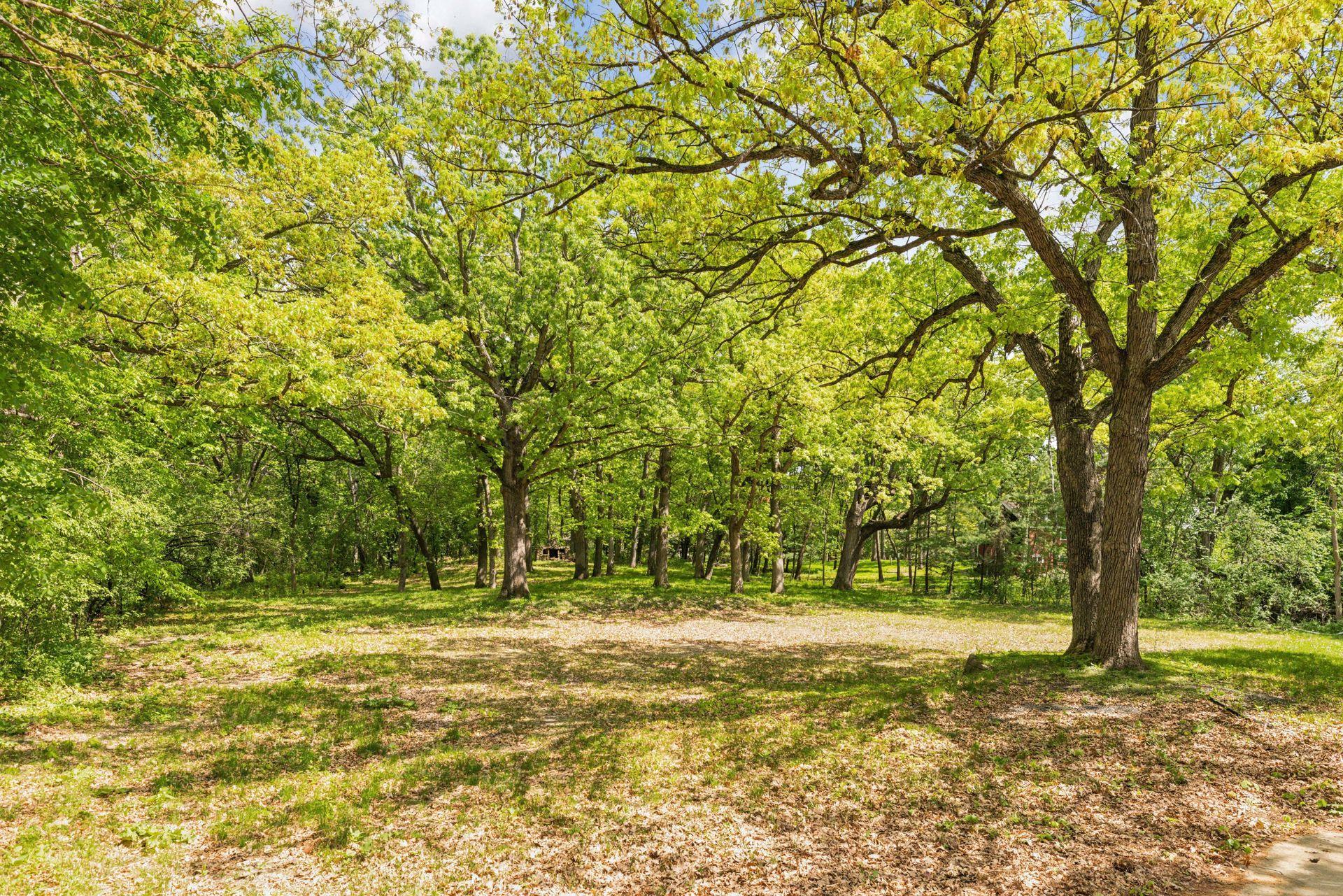 5125 Schaefer Road